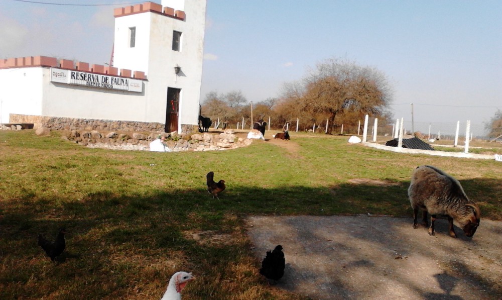 Homenajean a Carmen Pesce por su incansable labor en la Reserva de Fauna